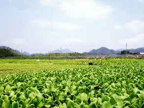 生态基地